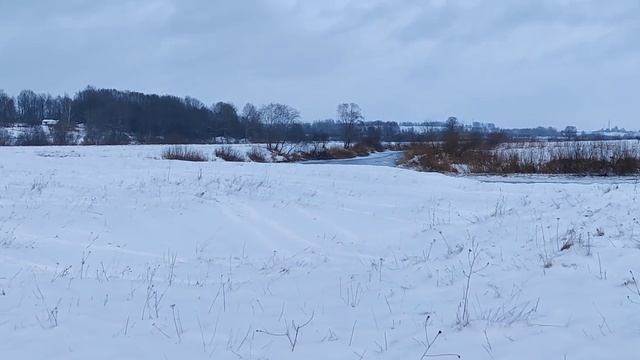Скаут-3 V250 на поле возле реки.