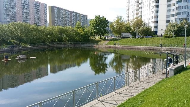 Пруд в бирюлево