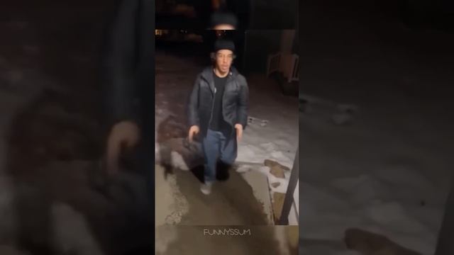 Приколы от собачки Ириски