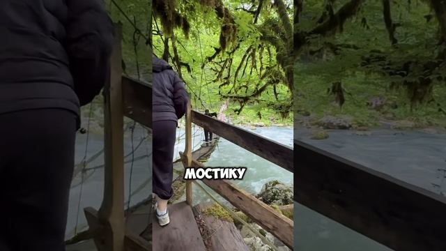 Турагент Абхазии😁