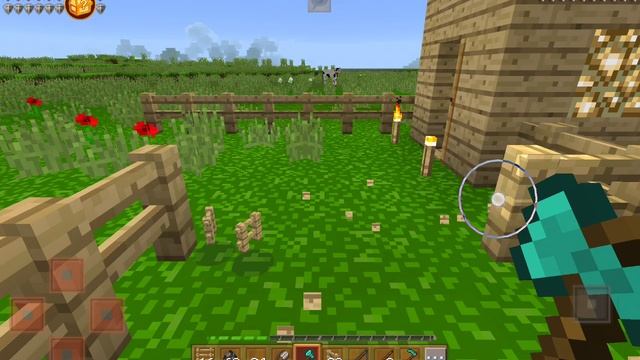SVID_20250520_215735_1.mp4