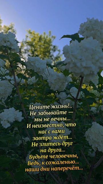 Цените жизнь✌️