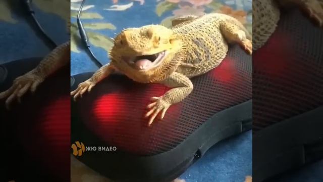 День удался)