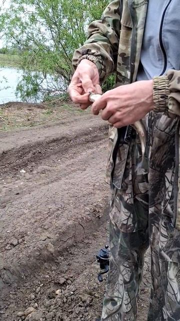 Рыбалка удалась!#рыбалка