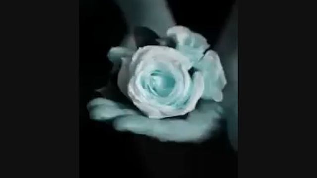 "Белая роза""Valge roos" Carlando mix