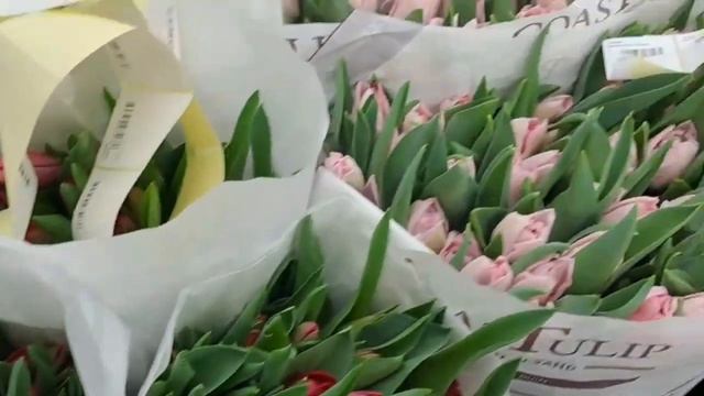 ТЮЛЬПАНЫ ПРОСТО НЕВЕРОЯТНЫЕ. ВЫБОР, КОТОРЫЙ ВАС ПОРАЗ?