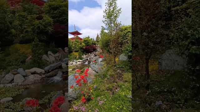 Японский сад. Парк Галицкого. Краснодар.