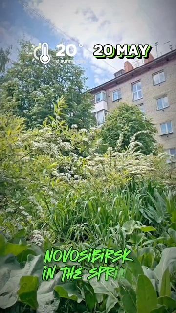 Весеннее настроение