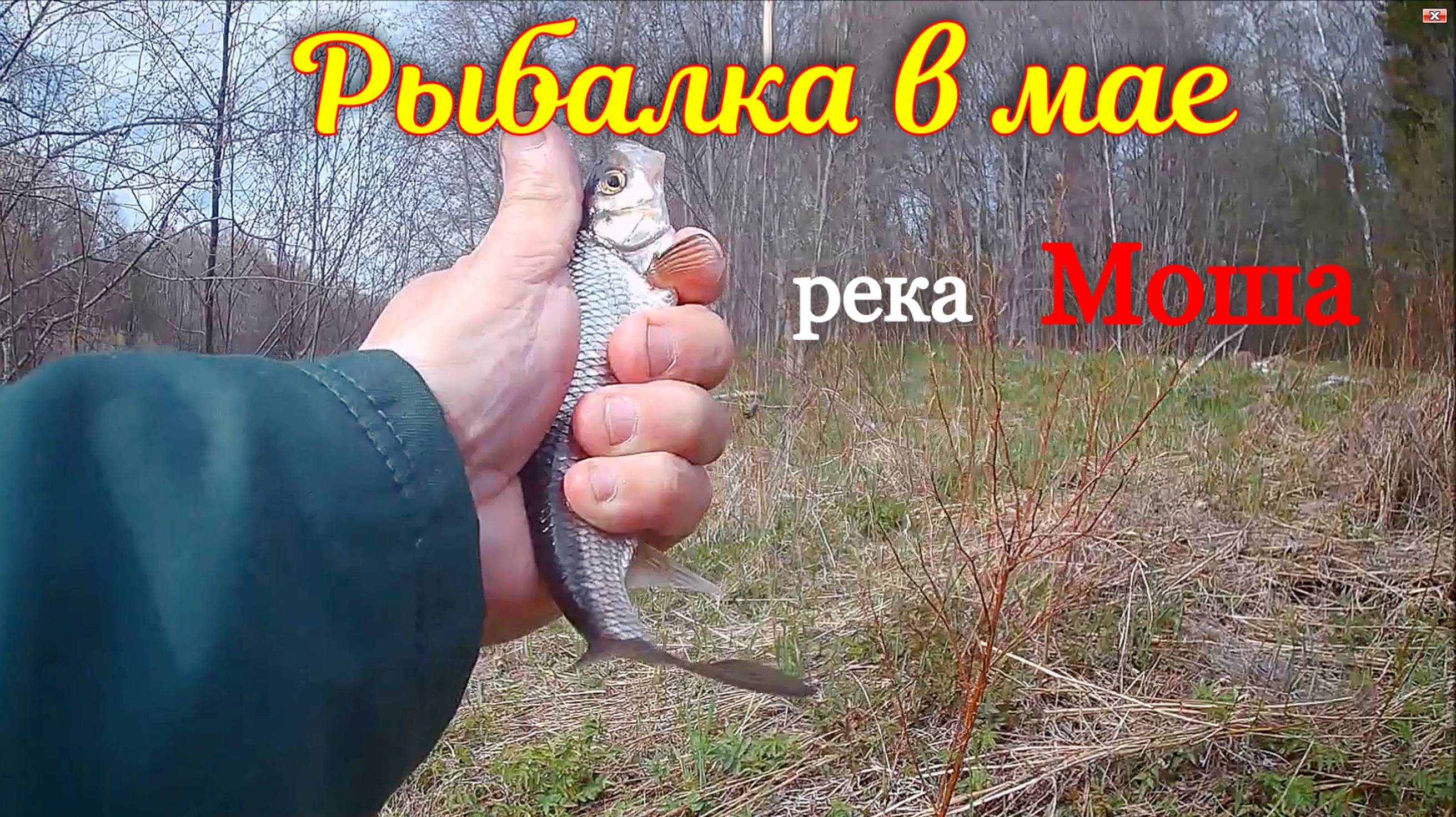 Рыбалка в мае р. Моша
