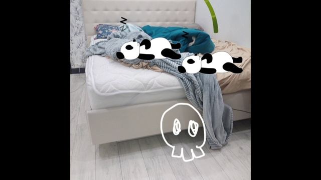 InShot_20250520_205732720.mp4