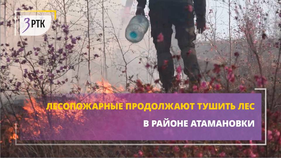 Лесопожарные продолжают тушить лес в районе Атамановки