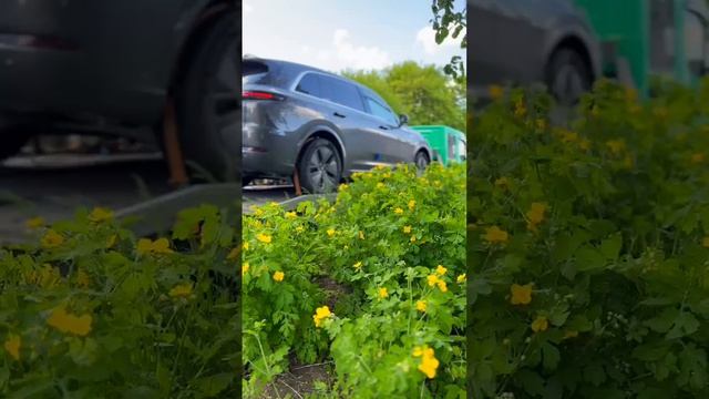 Очередная поставка автомобилей!