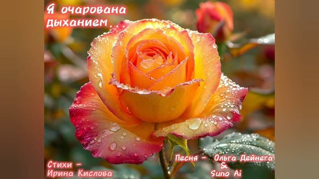 А роза выбросит бутоны, как в первый раз...✨🍂 (стихи -И?
