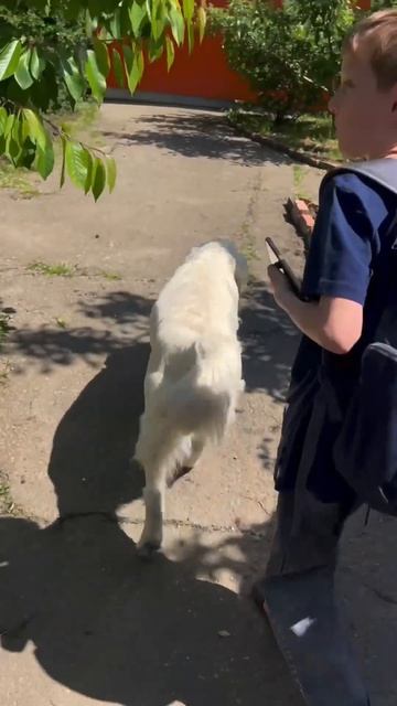 Просто жизнь