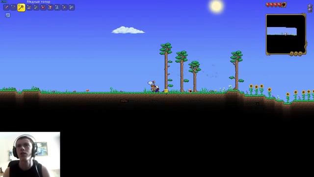 Террария СТРИМ | СТРИМ ПО Terraria | ОБЩАЕМСЯ