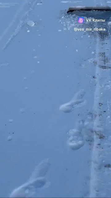 VID-20250519-WA0518