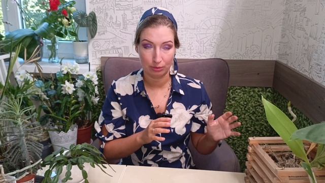 FanOrchid что раньше покупала: ванда, дендробиум, попкорн