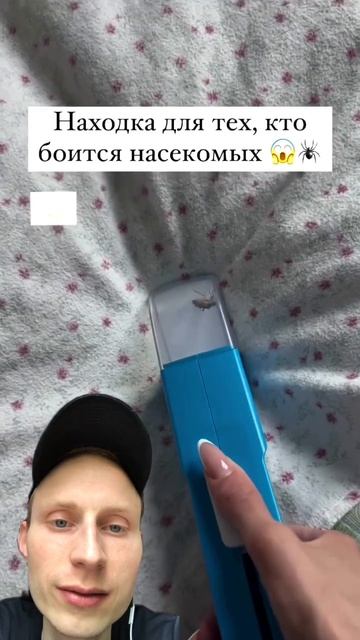 что делать, если боишься насекомых
