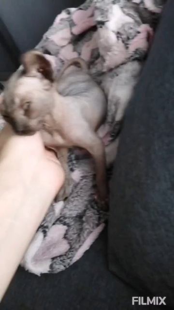 Каким Филя был малышом🍼