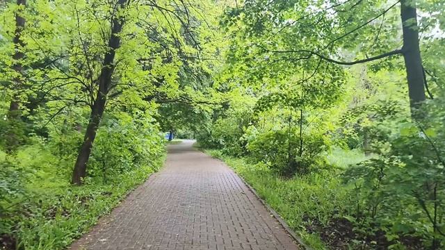 Дождливый парк. Фоновое видео для музыки.