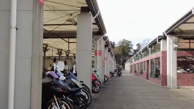 Смотрим мотоциклы на аукционе Японии | Motolife | Motopodbor