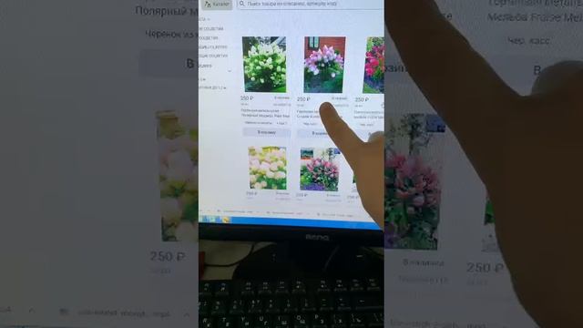 Как поставить отбор (фильтр) на сайте