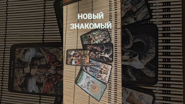 НОВЫЙ ЗНАКОМЫЙ