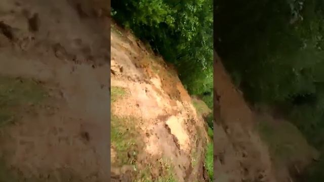 мотоцикл минск, покатушки по лесу