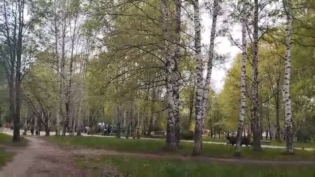 20-05-2025  Я  с  тобою  знаком   виртуально