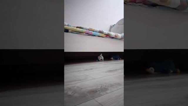 мой влог у субботу 💓🎀