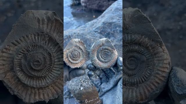 Невероятная находка в камне