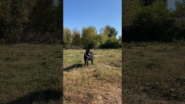 Маня хотела закричать от радости