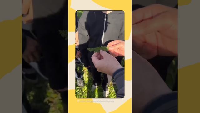 1000621456.mp4