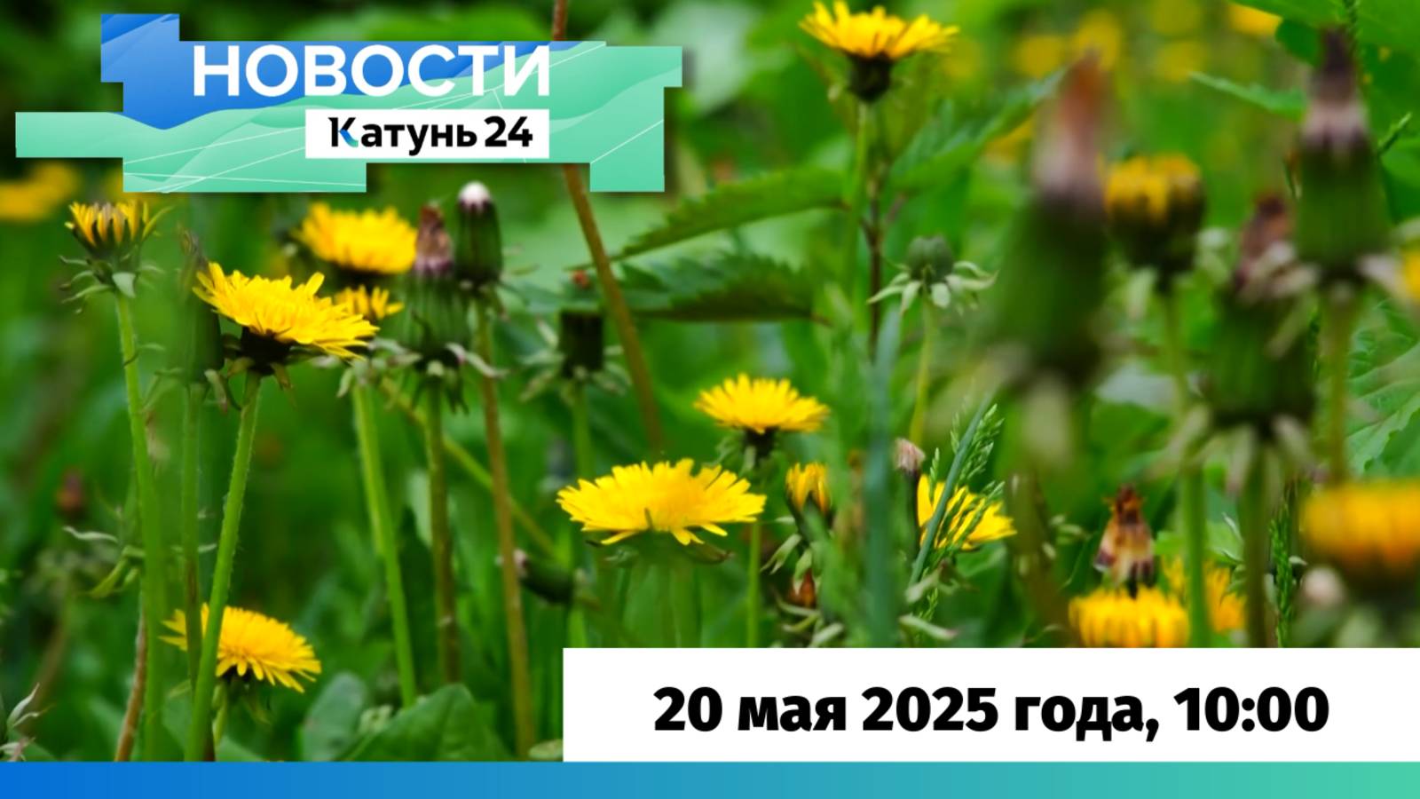 Новости Алтайского края 20 мая 2025 года, выпуск в 10:00
