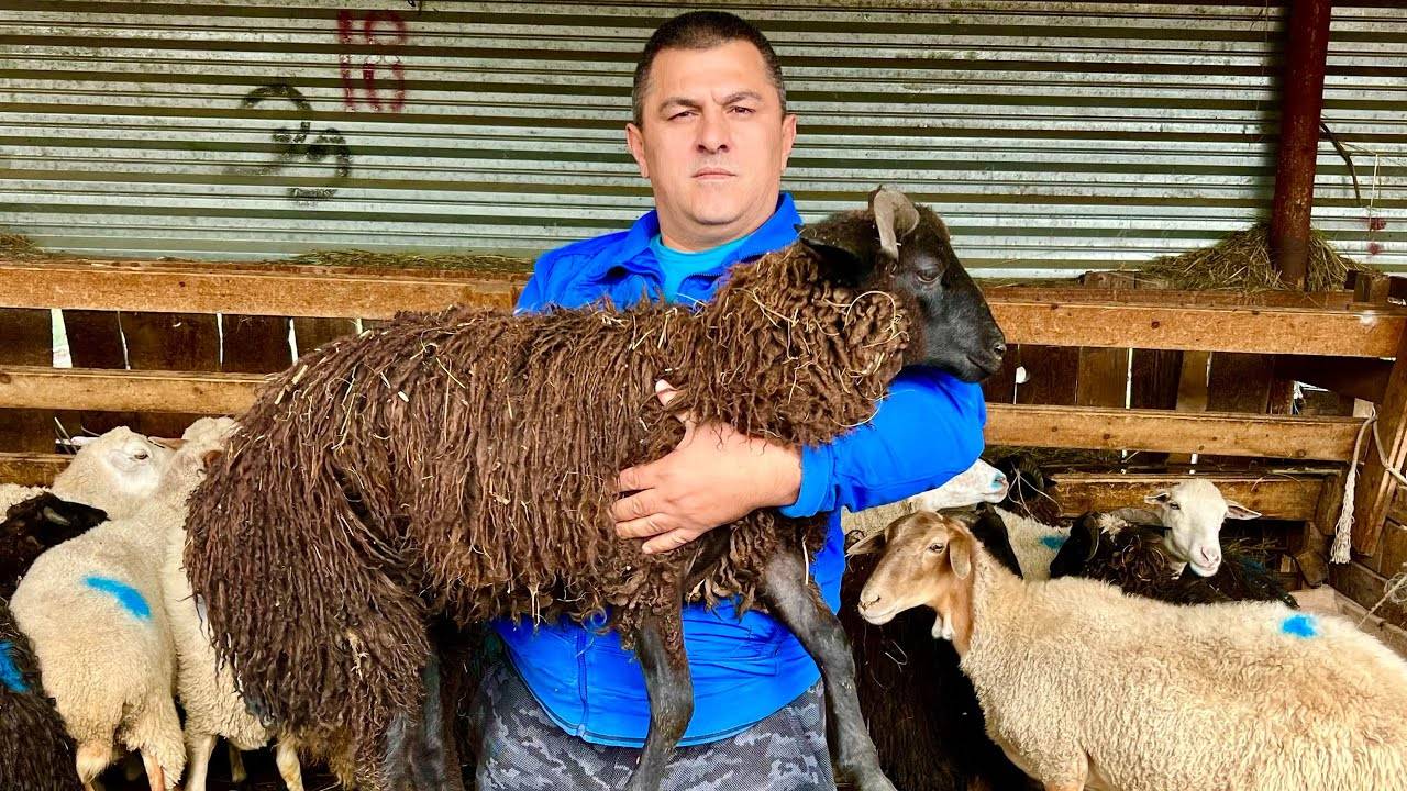 Нежнее не бывает - Лучший Шашлык В Кавказских Традициях!