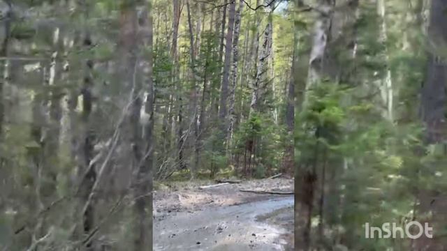 Маршрут Листвянка-Большие Коты
май 25 г