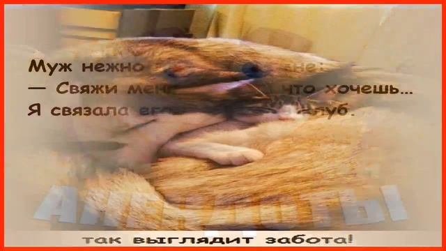 ЧИТАТЬ СМЕШНЫЕ ИСТОРИИ – подборка, от которой настроение взлетает! 🚀🌈