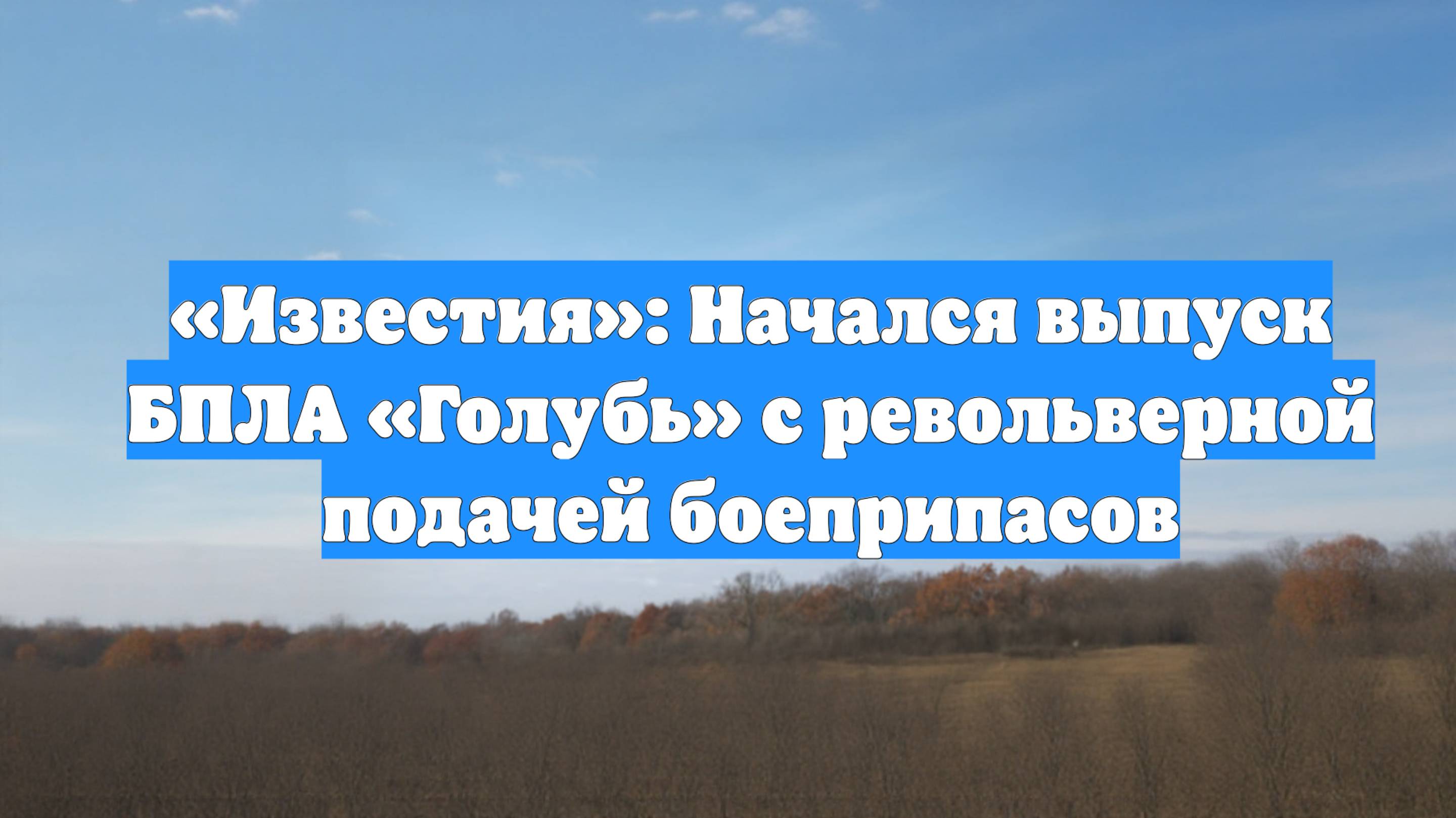 «Известия»: Начался выпуск БПЛА «Голубь» с револьверной подачей боеприпасов