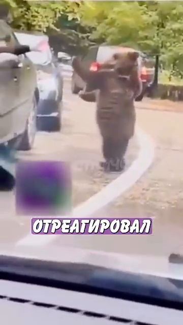 Новостничок (297)