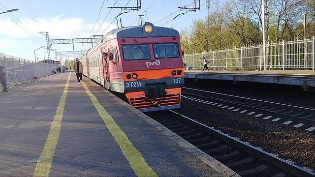 19 мая 2025 Электропоезд ЭТ2М-137 Сообщением Санкт-Петербург-Колпино Отправляется с платформыКолпино