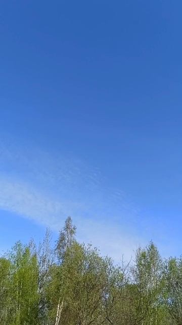 ДОБРОЕ ДАЧНОЕ УТРО И ЗАВТРАК "Я ЕГО СЛЕПИЛА ИЗ ТОГО ЧТО БЫЛО" #дача #завтрак