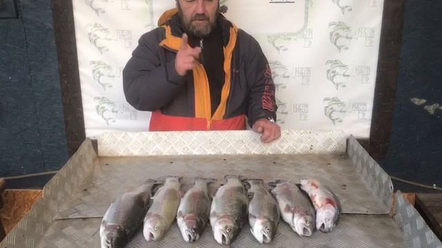 итоговый улов форели у Юрия