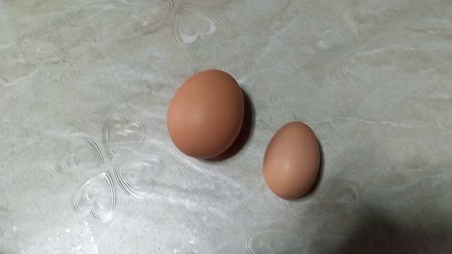 Первое яйцо 🥚🥚🥚 молодняка .
сравнение