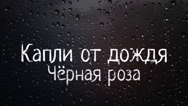 «Капли от дождя» - Чёрная роза