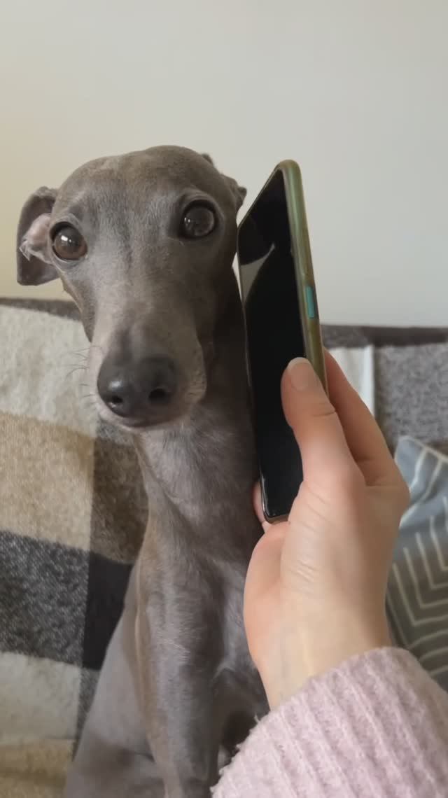 Смотреть со звуком!