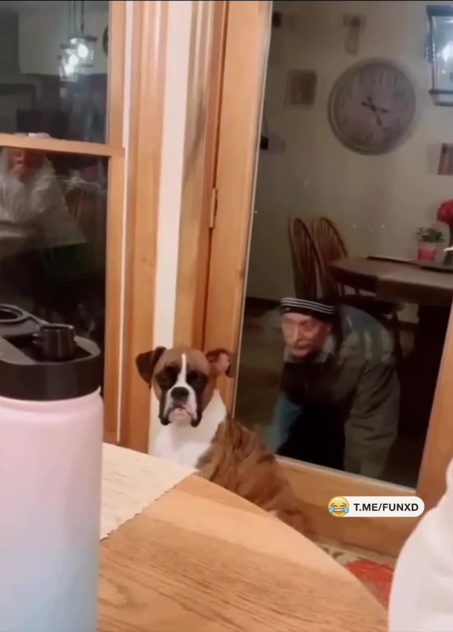 Испугался😁