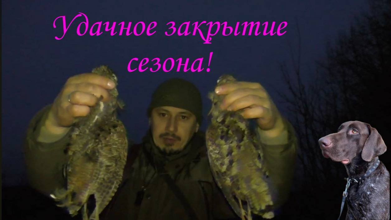 Ефрат снова выручает! Отлично закрыл сезон охоты!