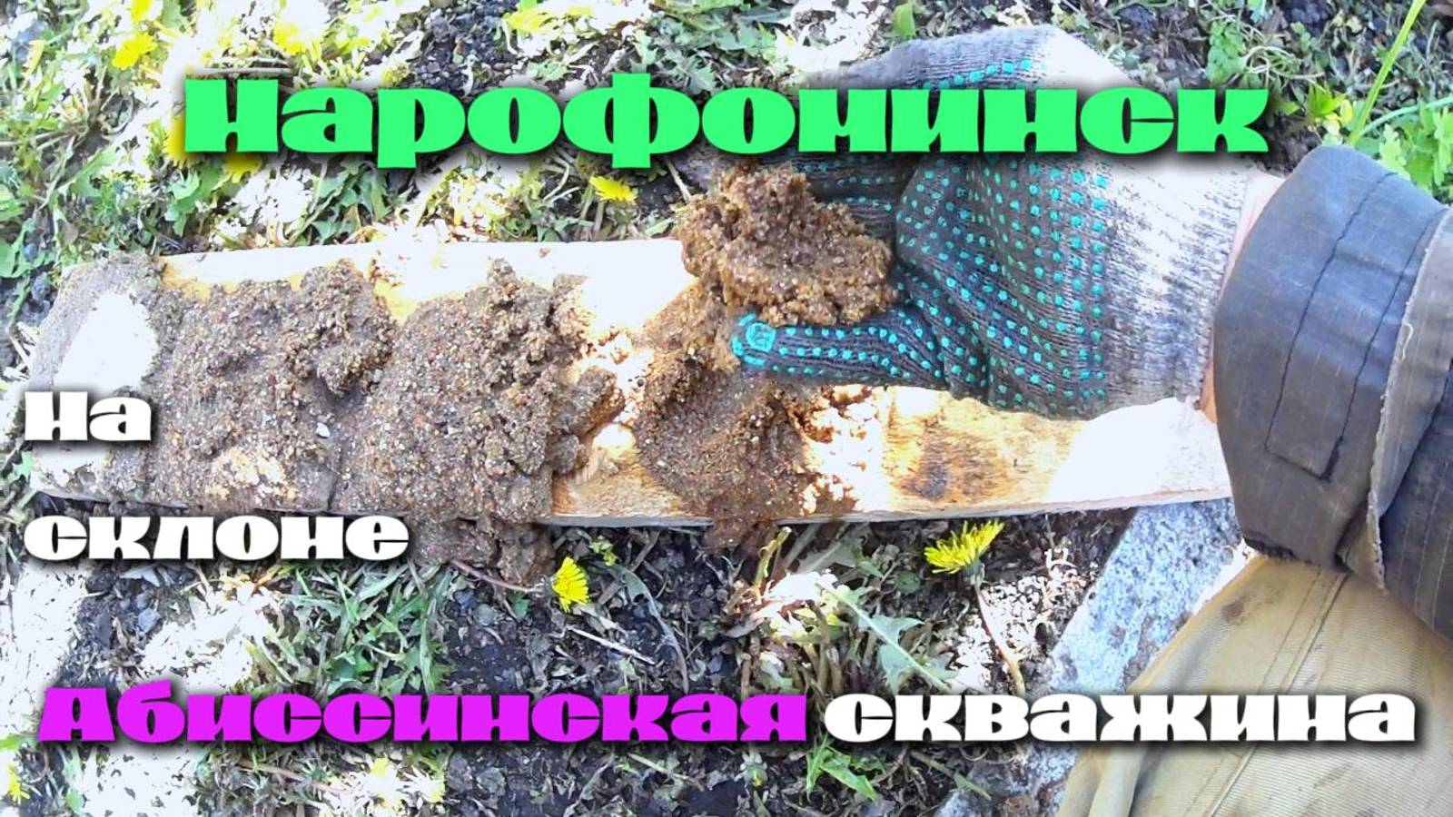 Абиссинка в Нарофоминске!