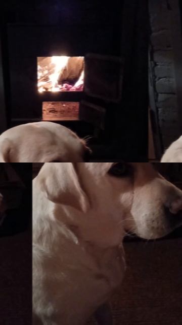1000090773.mp4