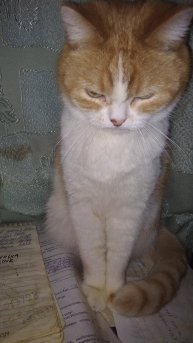 Палец полизать не дают, безобразие.😉